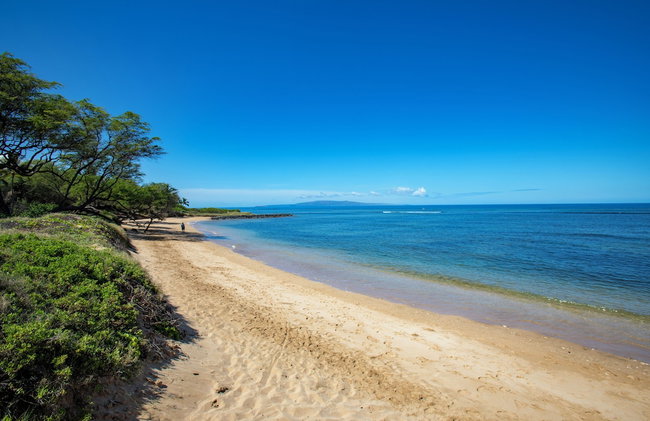Beautiful 1 Bedroom Condo with Ocean Views | Oceanfront - Foto 114