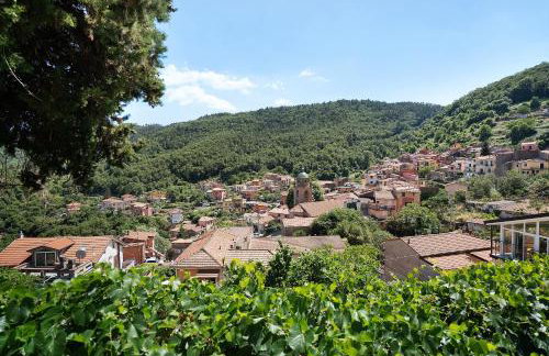 Acciuga House - Photo 23