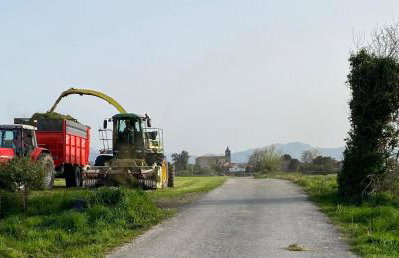 El Pinar de Arna - Photo 62