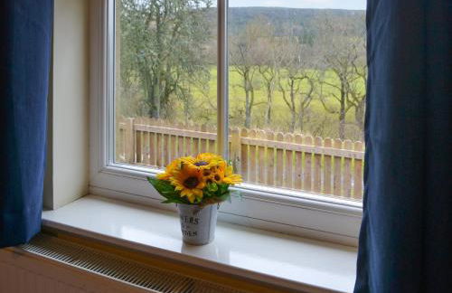 The Waiting Room - Foto 9