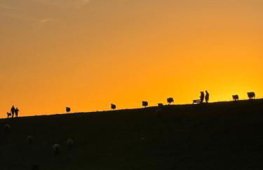 Haus Juist-Norddeich - Foto 32