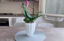 MariGarda Apartments - Foto 37