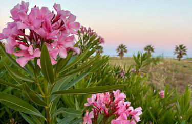 Villa Vinci - Foto 2