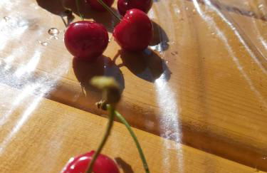 Versigglhof - Foto 62