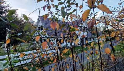 Agroturystyka Chata pod Wojkową - Foto 2