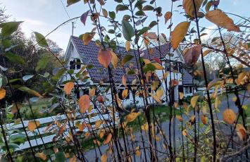 Agroturystyka Chata pod Wojkową - Foto 2