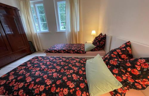 Großzügige Souterrainwohnung in historischer Stadtvilla im Herzen Zellerfelds - Foto 9