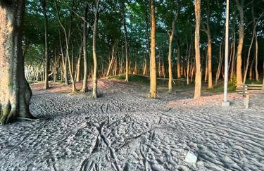 Apartament Szept Morza - Foto 15