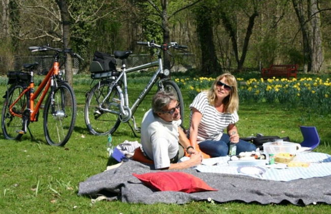 Mott Comfortable Holiday Residence - Foto 17