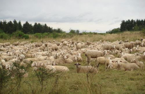 Haus Eifelinchen - Foto 35