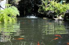 Taburiente - Foto 58