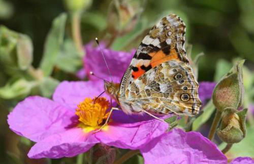 Villa Cinsault, un bijou pour votre séjour en Provence Verte - Foto 18