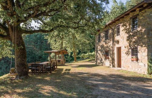 Abissinia, Gioiello nel Bosco - Foto 22