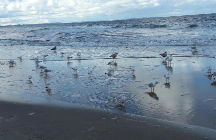 Comfortable Apartment A103 SEA VIEW 10th floor PARKING FREE - Foto 49