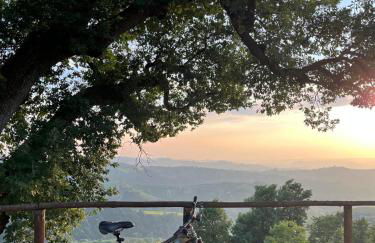 Villa di Langa - Foto 39