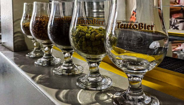 Découvrez les ingrédients de la bière