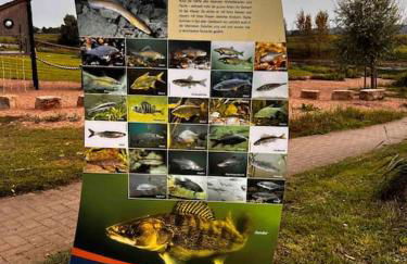 Ferienwohnung „Zur Eule“ - Foto 37