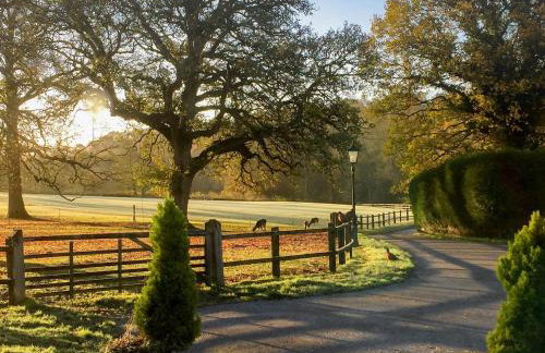 Horncombe Stables - Foto 18