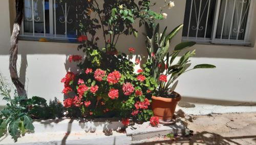 Traditional House with breathtaking view, Makis - Foto 4