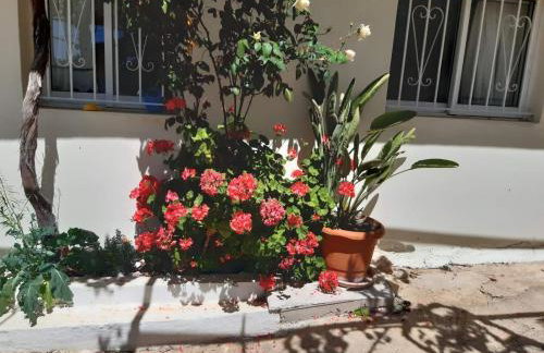 Traditional House with breathtaking view, Makis - Foto 4