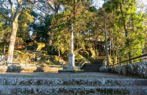 Quinta das Lamas - Antiga Adega - Foto 46