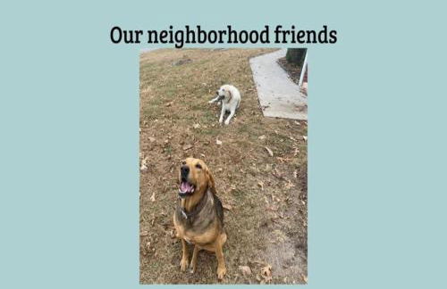 Red Clay Farmhouse - Foto 24