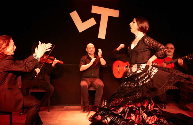 Espectáculo en el tablao flamenco Las Tablas - Foto 3