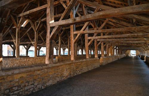 La Maison de l'Apothicaire - Un refuge enchanté avec balnéo en hyper-centre - Foto 31