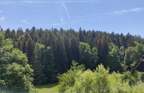 Ferienwohnung im Grünen - Photo 17