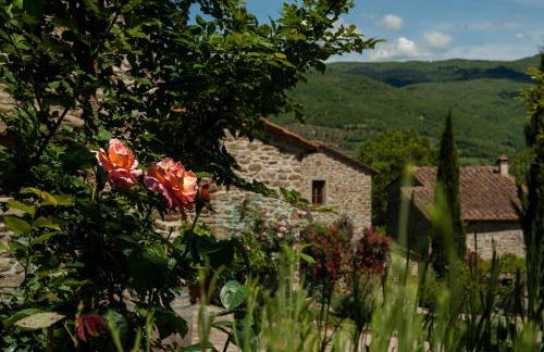 Agriturismo Azienda Agricola il Pozzo - Foto 6