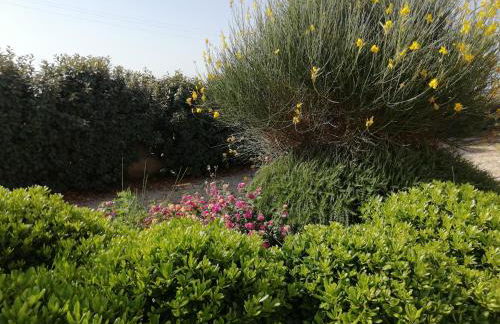 Villa Maria - Foto 13