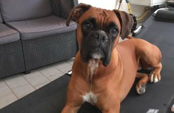 La Casa di Pamy - Foto 40