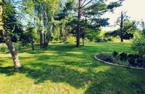 Dąbrowski - Photo 34