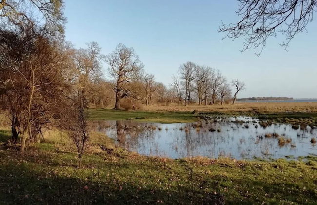 6 Person Holiday Home in Kettinge - Foto 46