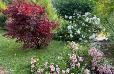 Casale Armonia - Foto 8