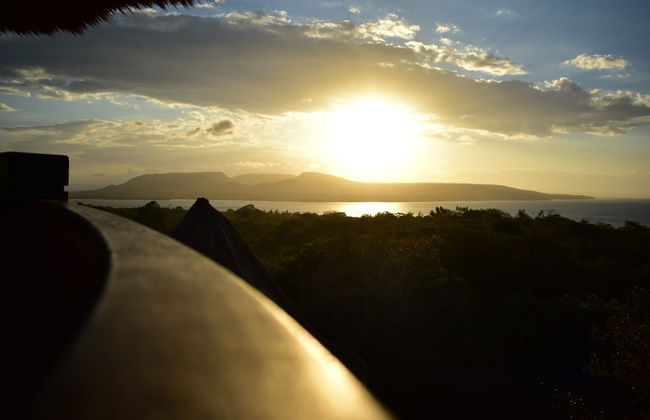 The Barari Villas - Foto 51