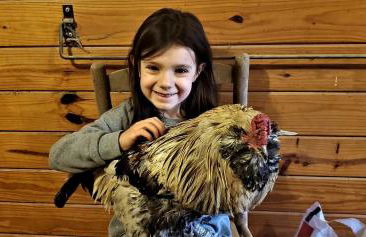 Historic Cabin near Luray Caverns Perfect for a Family Vacation in Virginia - Foto 19