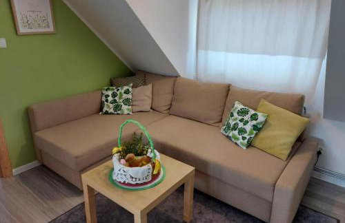 Cztery Pory Warmii Pluski pokoje do wynajęcia - Foto 34