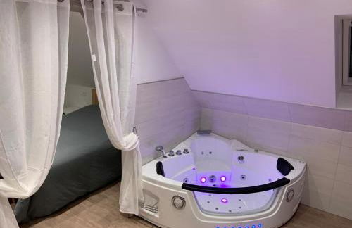 Gîte mon rêve à Scherwiller avec SPA sur la route des vins au coeur de l'alsace - Foto 13