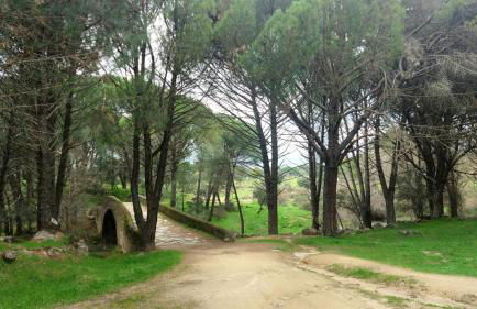 Casa Ypsilon Olive Oil - Photo 16