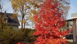 Ferienwohnung Am Rimbach - Foto 2