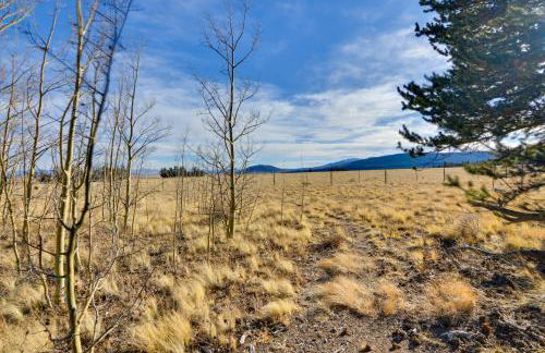 Fairplay Cabin with Mountain Views! - Foto 40