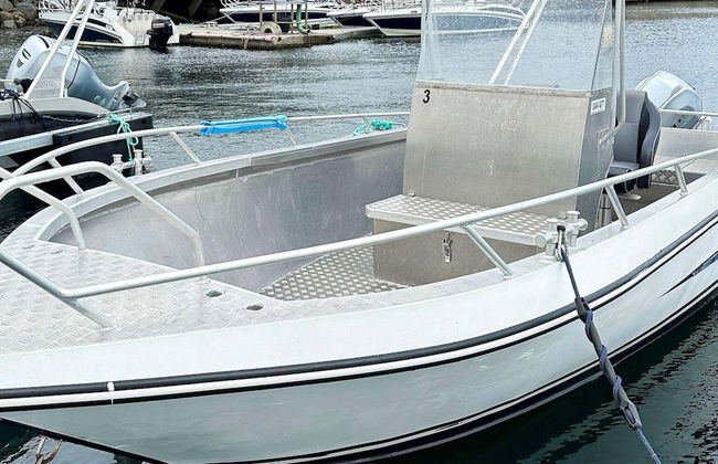 4 Person Holiday Home in Oksvoll - Foto 2