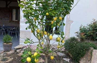 Appart' Au Coeur de Nuits - Foto 49