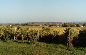 Gite de Marcureau - Foto 37