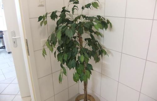 Beautiful Apartment im Zentrum von Sankt Augustin - Foto 20