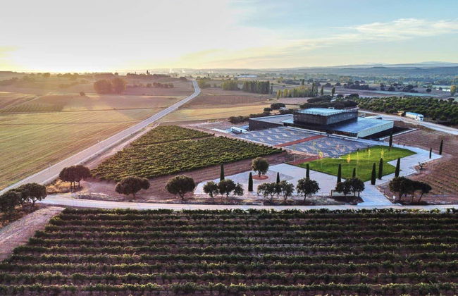 Visita a la bodega Bela - Foto 6