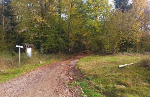 Holiday Home in Vosges with Garden and BBQ - Foto 29