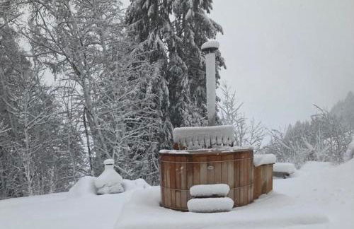 Apartment in new chalet with private garden - Foto 23