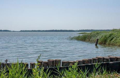 Haus Schilfkante - Wohnung 2 - Foto 24